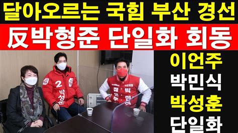 달아오르는 국민의힘 부산 경선 이언주 박민식 박성훈 反박형준 단일화 회동 Rnb 레지스탕스tv 정광용tv