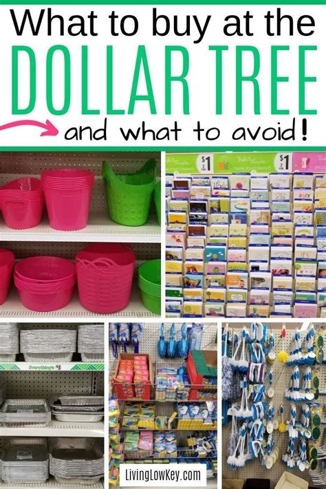 Ever Wondered What To Buy At The Dollar Tree Check Out This Amazing