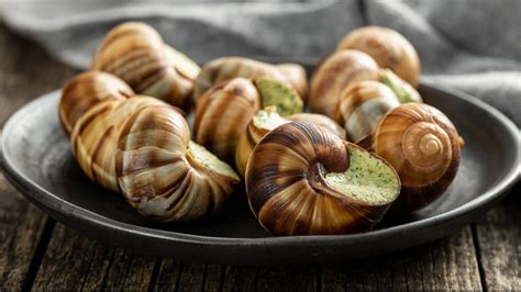 Foods Eat Snails