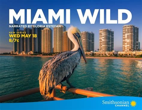 Paramount Press Express | Smithsonian Channel | Miami Wild | Releases