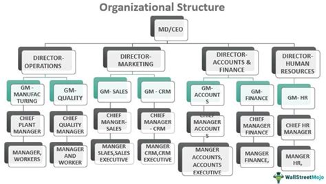 Organizational Structure Definition Types Examples What Is It