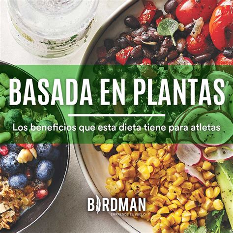 Los Beneficios De Una Dieta Basada En Plantas Vida Birdman Blog Vidabirdman