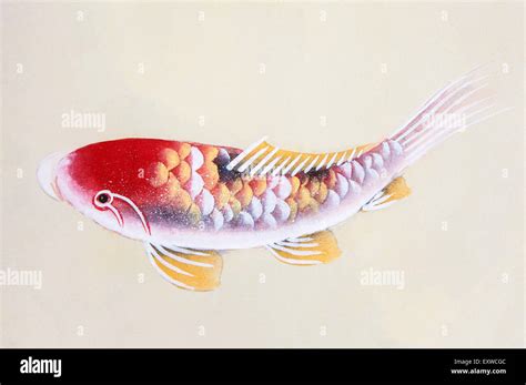 Chinese Koi Fish Painting