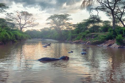 Sabi River Sun Resort Sabi River Sun Resort