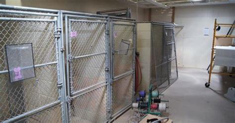 DuPage County Animal Shelter Getting Big Upgrades - CBS Chicago