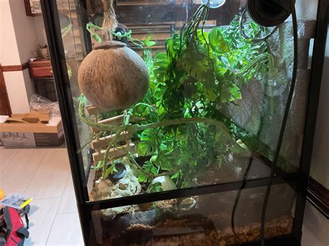 Rate tank it is slowly becoming bio active it has bugs but only one