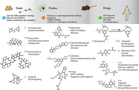 Frontiers Composition And Applications Of Focus Libraries To Phenotypic Assays