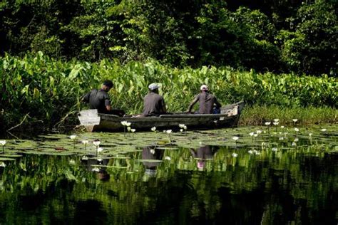 Riqueza Natural Explorando La Biodiversidad En Honduras