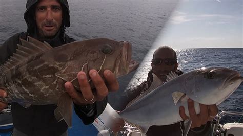 Cernia E Ricciola Con Calamaro Finto Pesca A Traina Youtube