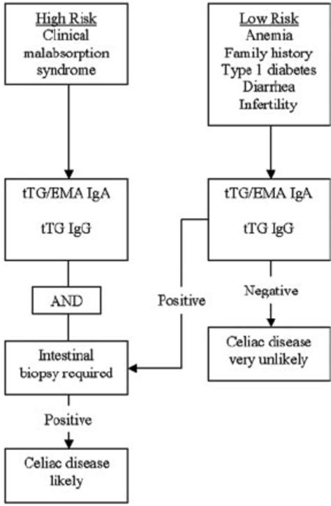 Diagnosis Of Celiac Disease Download Scientific Diagram