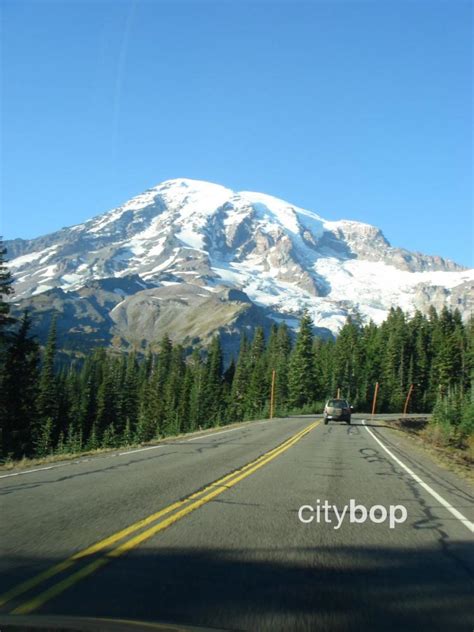 5 BEST Things to Do at Paradise Mt Rainier