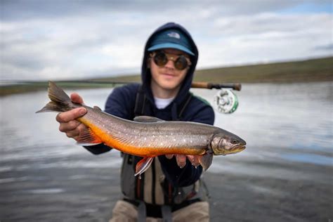 Arctic Char Fish Partner Fly Fishing In Iceland