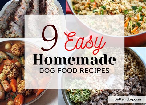 Homemade Dog Food Recipes | Better dog