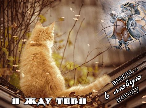 Картинка мне скучно без тебя с котятами, щенятами, зайчиками для ...