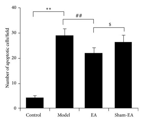 EA prevented the neuronal apoptosis induced by Aβ in hippocampus tissue ... 