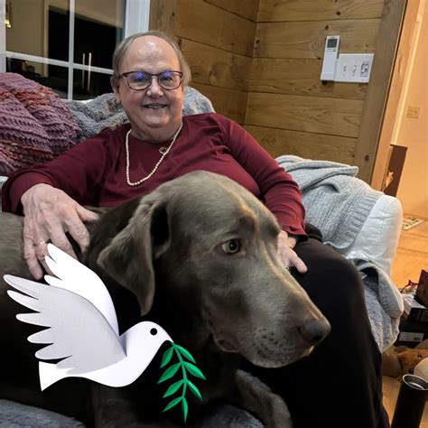 The next project from denise higgins is coming soon 3