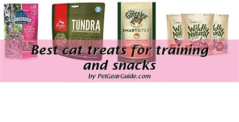 Top 10 Best Cat Treats For Training And Snacks Updated 2021