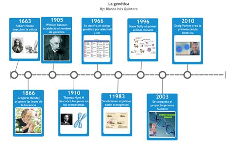 Ciencias Blanca Línea Del Tiempo La Genética