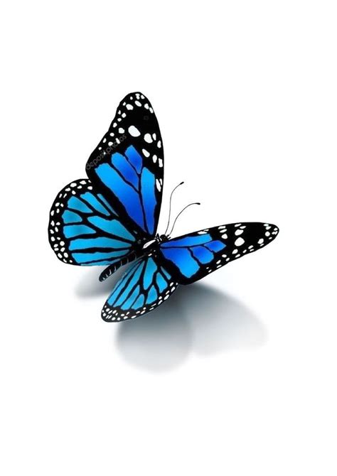 A Blue Butterfly Flying In The Air With Its Wings Spread Out And It S