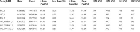 Frontiers The Expression Of Apoptosis Related Genes In Hk 2 Cells Overexpressing Ppm1k Was