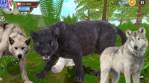 🎯 Panther Attack Wildcraft Animal Sim Online 53 Wild Wolf Pet