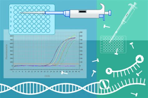 Pcr Tiempo Real On Line Online On Science Emagister