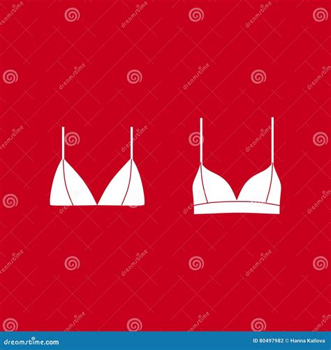 Bras And Panties Lingerie And Pantie Lingerie Vector Stock