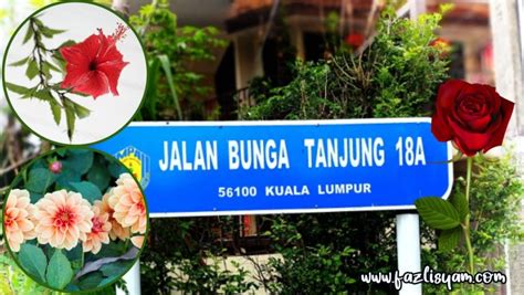 Nama Jalan Bunga Segalanya Tentang Tumbuhan