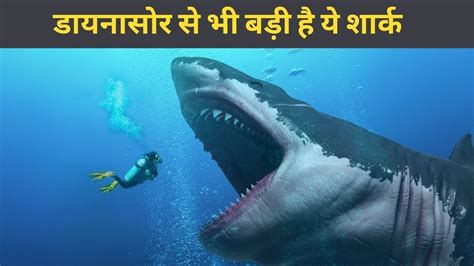 5 Reasons The Megalodon Shark May Still Exist Megalodon के जिंदा होने की 5 ठोस वजह Youtube