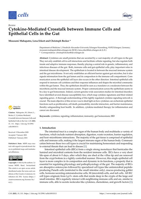 Pdf Cytokine Mediated Crosstalk Between Immune Cells And Epithelial Cells In The Gut