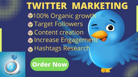 Grow Twitter Account Fast And Organically By Mostafiz6697 Fiverr