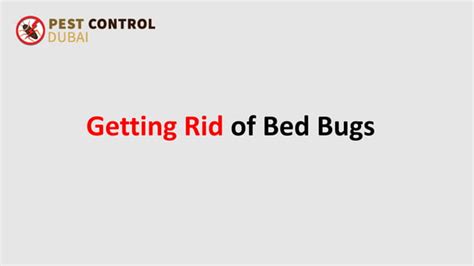 Getting Rid Of Bed Bugs Ppt