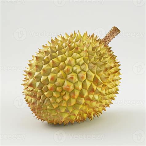 closeup    fresh durian fruit  spiky rind isolated  white
