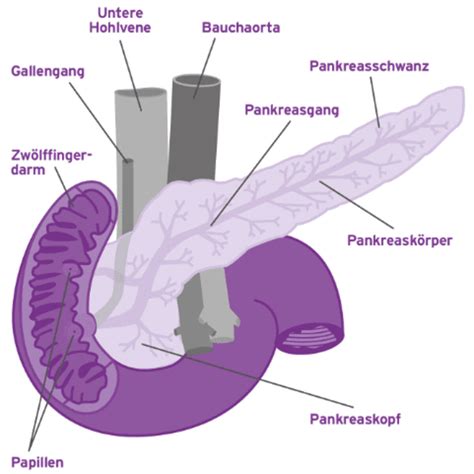 Bauchspeicheldrüsenkrebs Pankreaskarzinom AstraZeneca