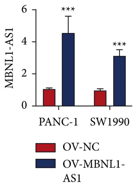 Overexpression Of Mbnl1 As1 Suppressed Cell Proliferation Migration Download Scientific