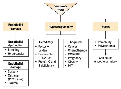 Etiology of venous thromboembolism – Virchow’s triad | McMaster Pathophysiology Review Best ...