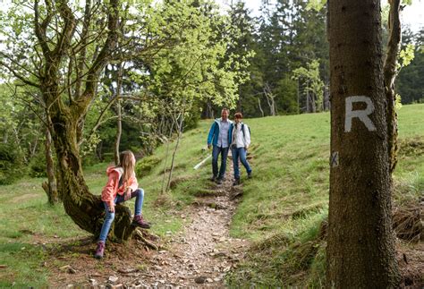 Etappe 1 7 Tage Wandern In Coburg Rennsteig Wanderung