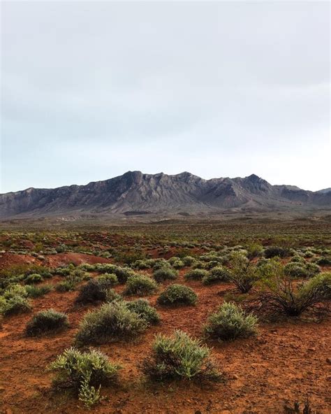 Nevada desert, by Oliver Regueiro | Nevada desert, Desert photography ...