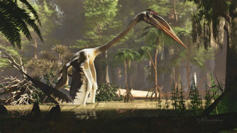 Quetzalcoatlus The Largest Flying Dinosaur To Ever Live