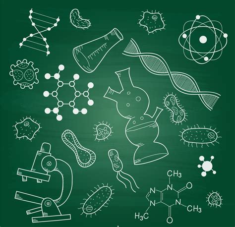 Las 79 ramas de la biología qué estudian y ejemplos Diferenciando