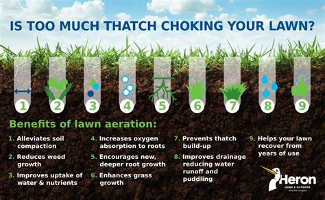 Lawn Grass Aeration Services Heron Home Outdoor