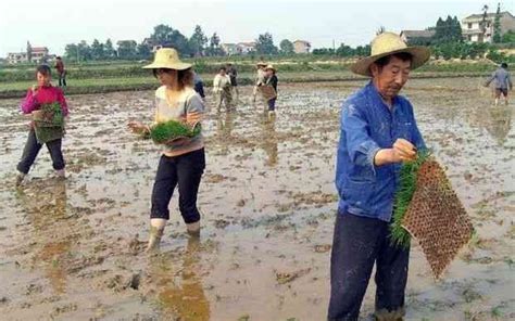 農村新增的人口將不會有土地，看看有什麼解決方法？ 每日頭條