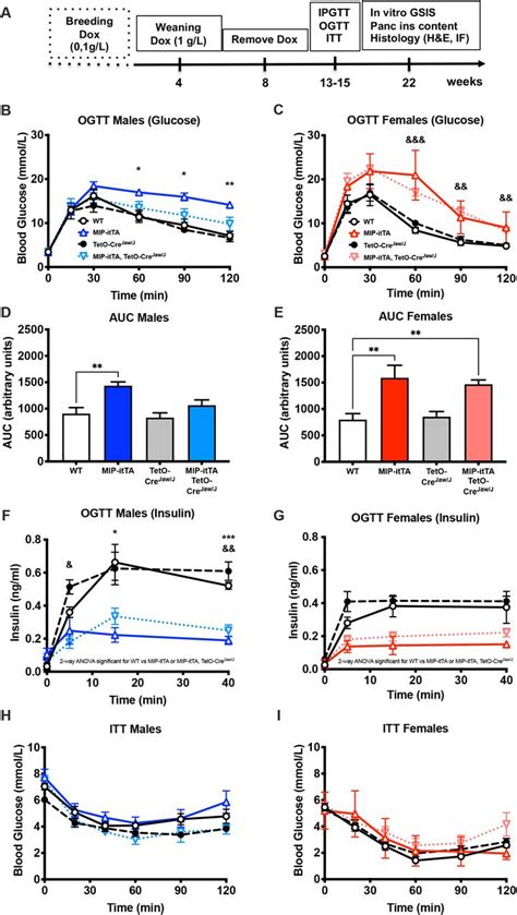 Expression Of A Tetracycline Controlled Transactivator Tet Onoff