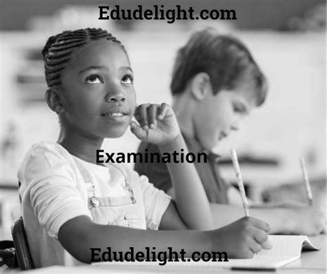 Examination Questions For Sss1 Third Term Edudelight Store