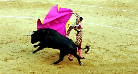 Denuncian entradas rebajadas a niños para el festival taurino de Coria