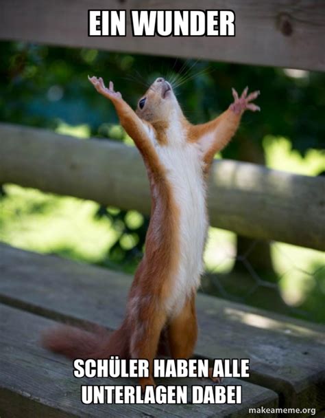 Ein Wunder Sch Ler Haben Alle Unterlagen Dabei Happy Squirrel Meme