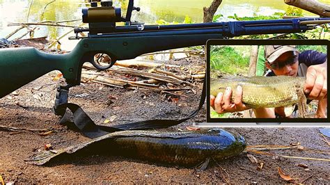 NEMBAK IKAN DI SUNGAI AMAZONpake Senapan Canggih YouTube