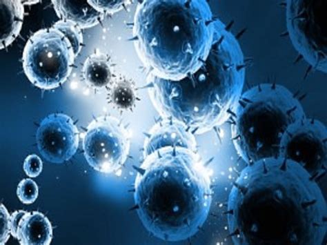 Research Links Epstein Barr Virus With Increased Risk Of Multiple Sclerosis Health Conditions