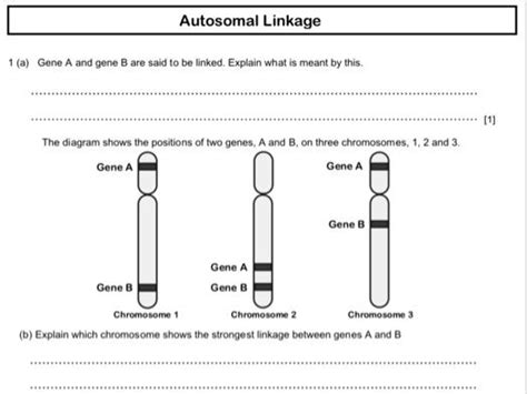 Linkage Mapping Practice Worksheet Which Genes Were Assigned To