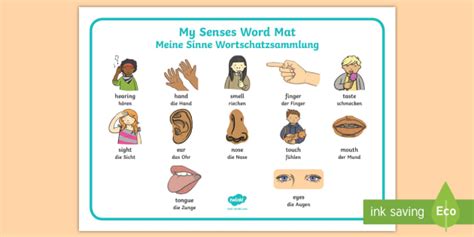 My Senses Ks1 Body Parts Word Mat English German